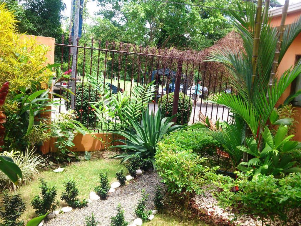 Inn On The Park Manuel Antonio Exterior foto