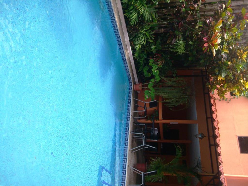 Inn On The Park Manuel Antonio Exterior foto